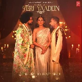 Teri Yaadein