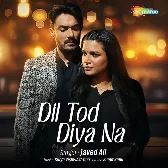 Dil Tod Diya Na