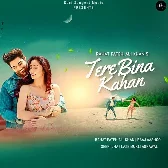 Tere Bina Kahan